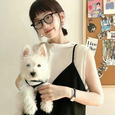 八十龟酱观察日记第一季海报