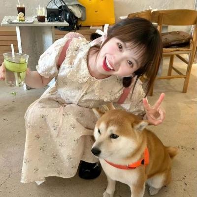 圣诞星海报